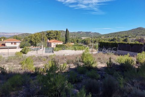 Terra a Biar, Alicante, Biar - € 129.500 | Ref: SF0365 - foto 2